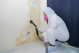 Best Forensic Mold Investigation  in Bayou Country Clu, LA